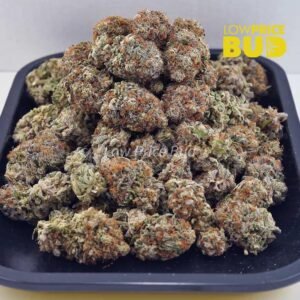 Low Price Bud