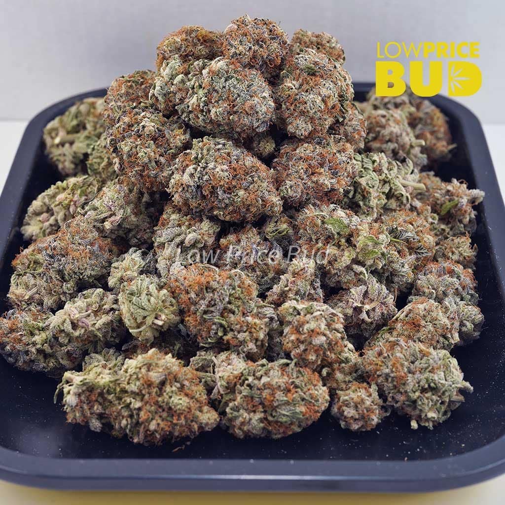 Low Price Bud