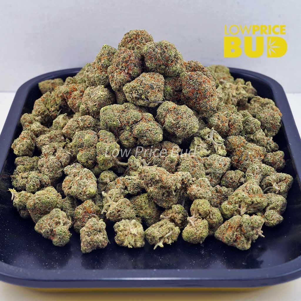 Low price buds