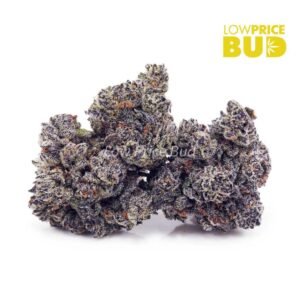 Vanilla Ice (Craft Cannabis)