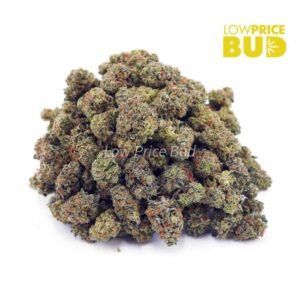 Ghost OG (AAAA) – Popcorn Nugs