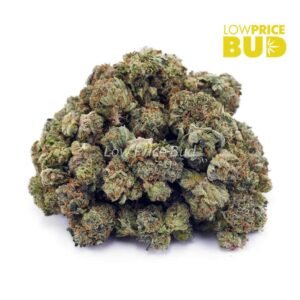 King Kong (AAAA) – Popcorn Nugs