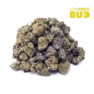 Crazy Glue (AAAA) – Popcorn Nugs