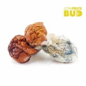 Mushrooms – Bluey Vuitton