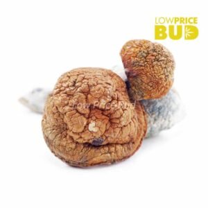 Mushrooms – Blue Meanies
