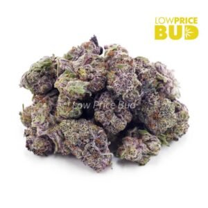 Platinum Rockstar (AAAA) – Popcorn Nugs