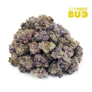 White Cherry Truffle (AAAA) – Popcorn Nugs