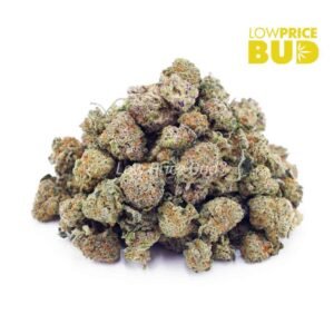 Hells Angel OG (AAAA) – Popcorn Nugs