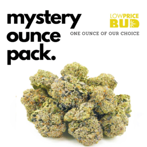 Mystery Oz
