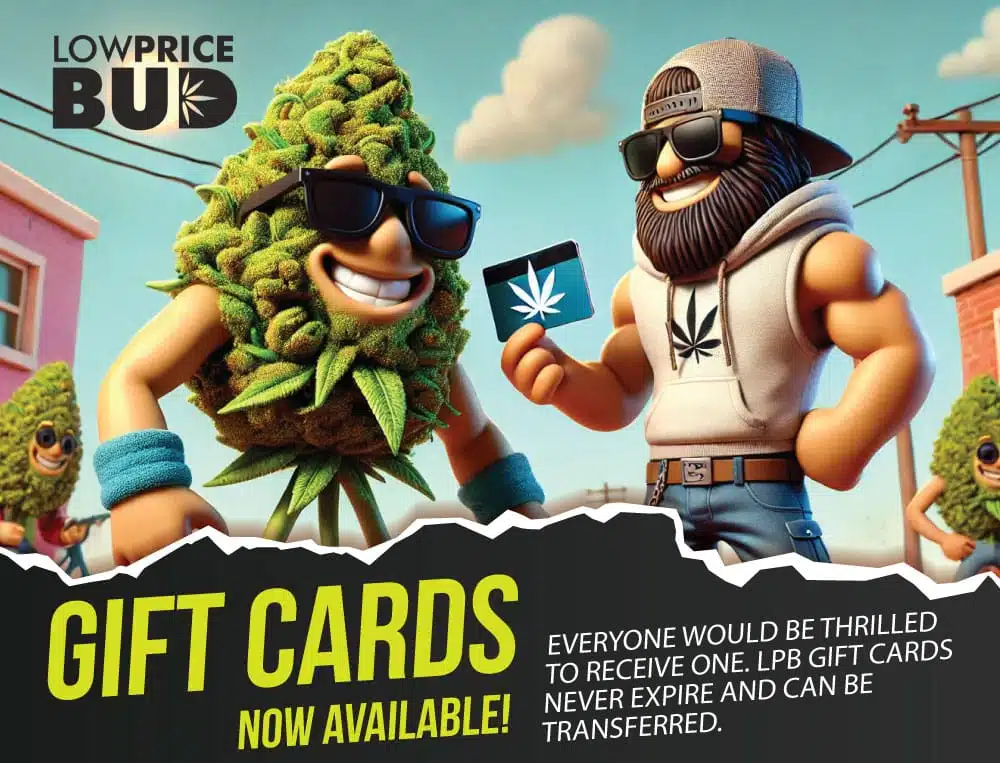 lowpricebud
