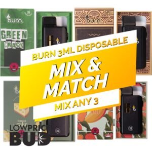 Burn Extracts Disposable 3ML – Mix and Match 3