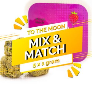 To The Moon – Moon Rocks 1g Mix and Match 5
