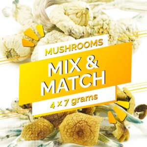 Build Your Own Mushrooms Oz