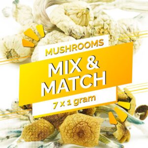 Build Your Own Mushrooms 7g